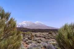 2026-02-27-Teide-NP-029