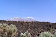 2026-02-27-Teide-NP-036