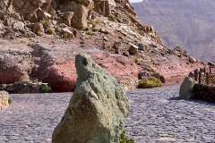 2026-02-27-Teide-NP-065