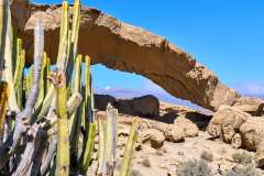 2026-02-28-Arco-de-Tajao-024