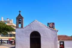 2026-02-28-San-Isidoro-002