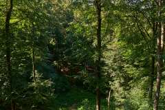 2026-06-25-Baumwipfelpfad-Ruegen-009