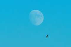 2026-06-26-Himmel-in-Sellin-006