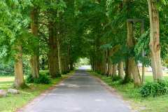 2026-06-28-Putbus-009