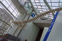 2026-06-29-Stralsund-005