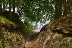 2026-07-01-Hochferweg-nach-Binz-037
