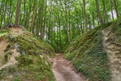 2026-07-01-Hochferweg-nach-Binz-040
