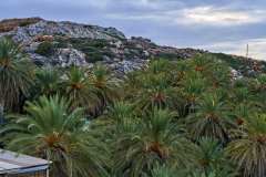 1_2026-10-12-Vai-Palm-Forrest-and-Beach-005