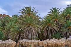 2026-10-12-Vai-Palm-Forrest-and-Beach-016