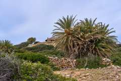2026-10-13-Itanos-Beach-010