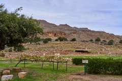 2026-10-13-Kato-Zakros-003