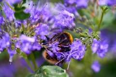 2023-09-23-Macro-Shots-03
