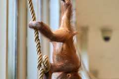 2024-04-21-Zoo-Vienna-08