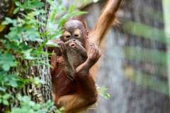 2024-07-14-Zoo-Schoenbrunn-16