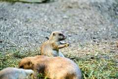 2024-08-09-Schoenbrunn-27