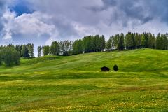 2025-05-26-Seiser-Alm-032-WebExport-2400px