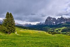 2025-05-26-Seiser-Alm-039-WebExport-2400px