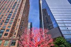 2024-06-16-NYC-22